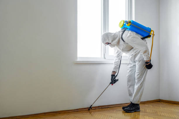 Best Mosquito Control Services  in Oxford, NC