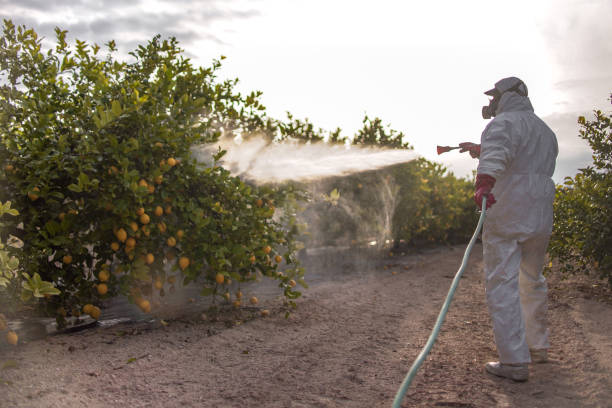 Reliable Oxford, NC Pest Control Solutions