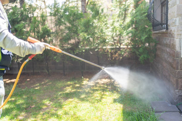 Best Cockroach Control Services  in Oxford, NC