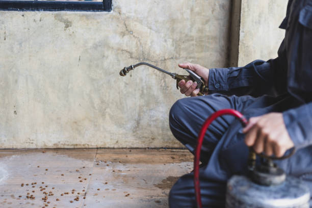 Best Ant Control Services  in Oxford, NC